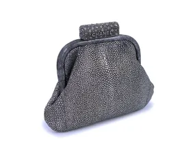 Chanel Limited Stingray Crystals Degrade Framed Evening Clutch Bag Silver